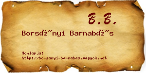 Borsányi Barnabás névjegykártya