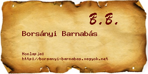 Borsányi Barnabás névjegykártya